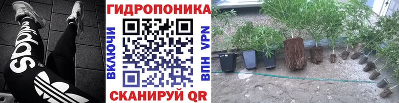 Каннабис семена  kraken tor  Котовск 